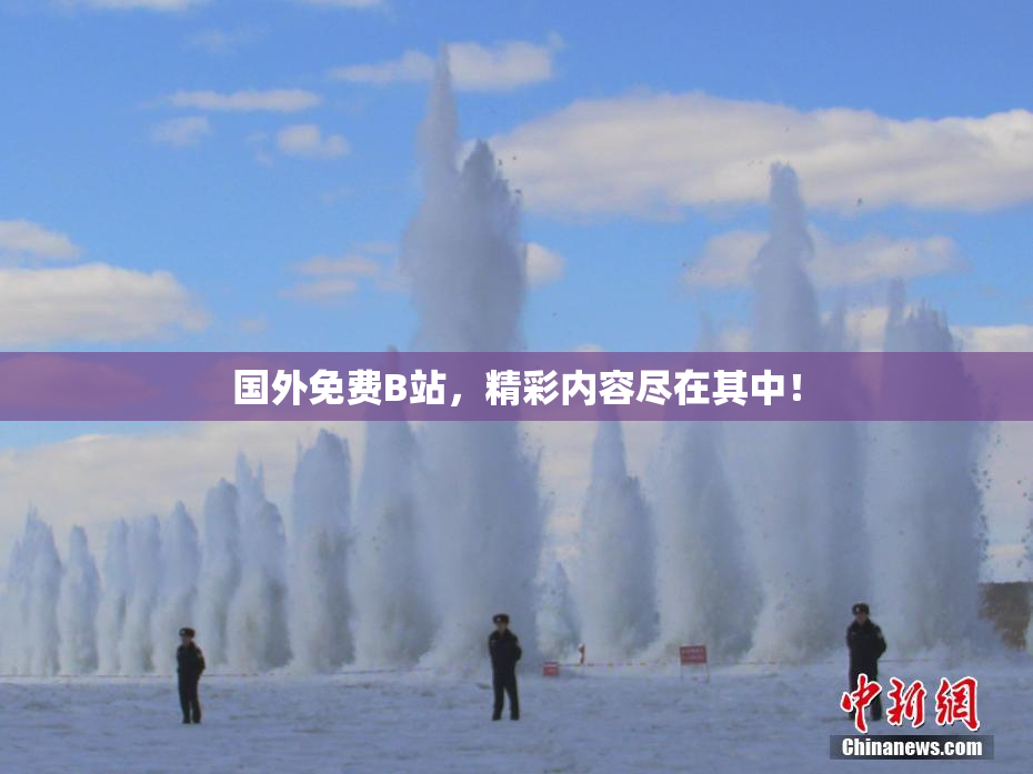 国外免费B站，精彩内容尽在其中！