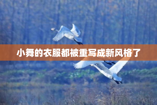小舞的衣服都被重写成新风格了
