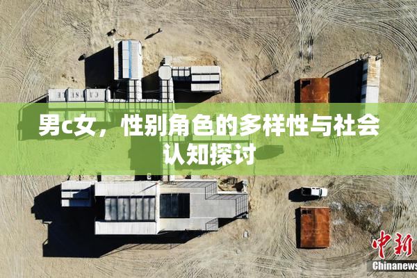 男c女，性别角色的多样性与社会认知探讨