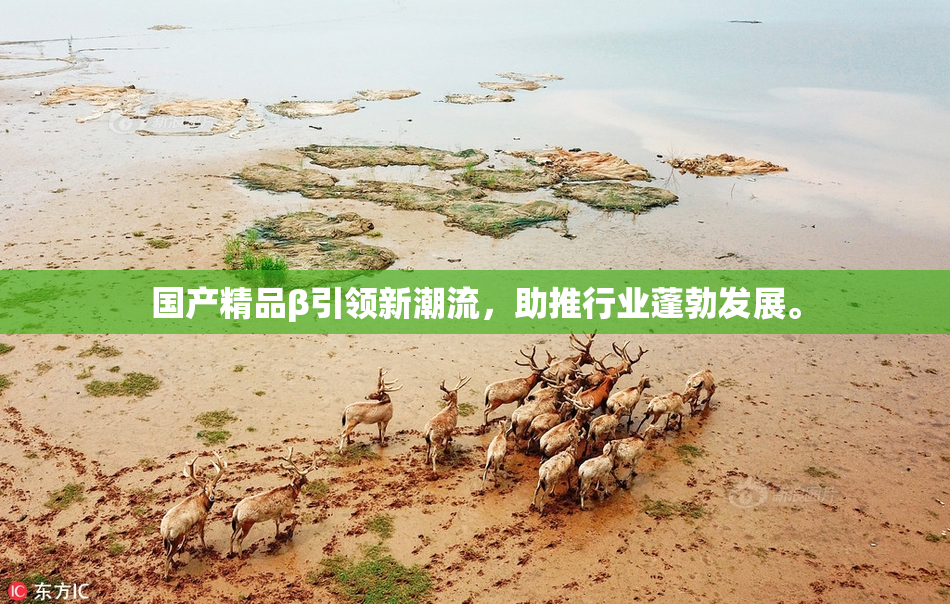 国产精品β引领新潮流，助推行业蓬勃发展。