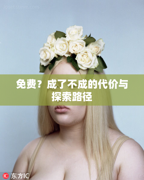 免费？成了不成的代价与探索路径