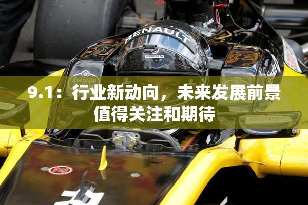 9.1：行业新动向，未来发展前景值得关注和期待