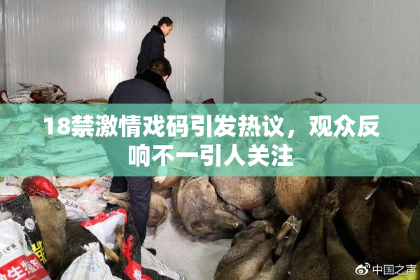 18禁激情戏码引发热议，观众反响不一引人关注