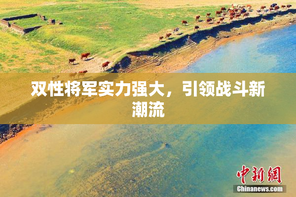 双性将军实力强大，引领战斗新潮流