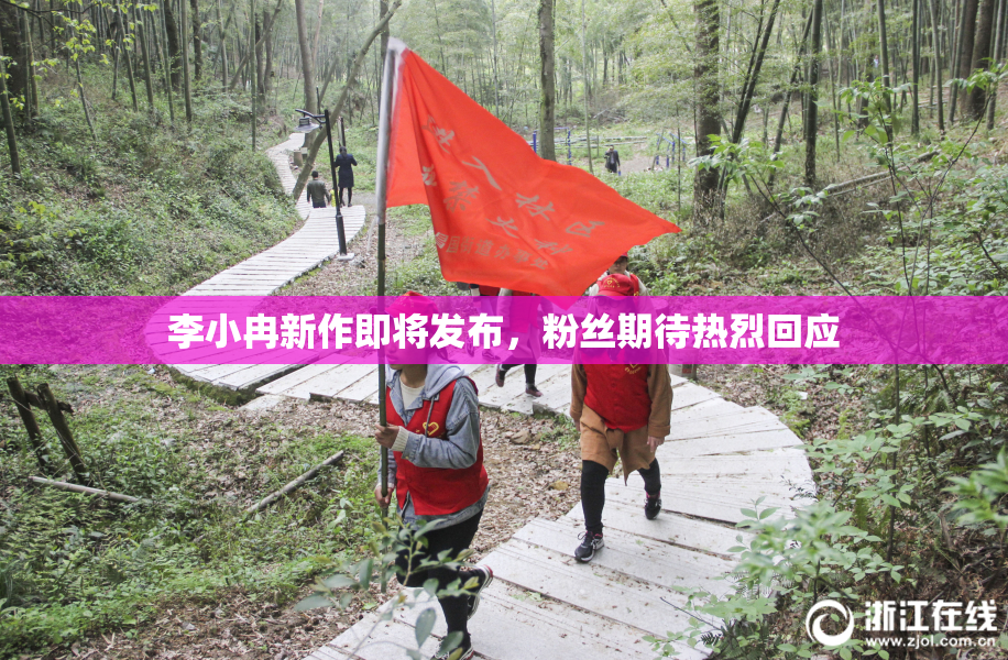 李小冉新作即将发布，粉丝期待热烈回应
