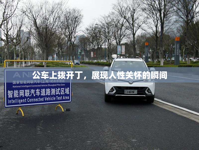 公车上拨开丁，展现人性关怀的瞬间