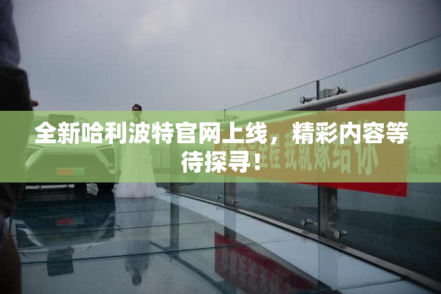 全新哈利波特官网上线，精彩内容等待探寻！
