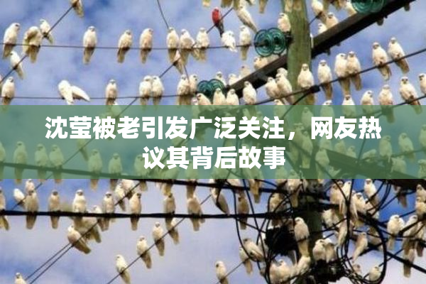 沈莹被老引发广泛关注，网友热议其背后故事