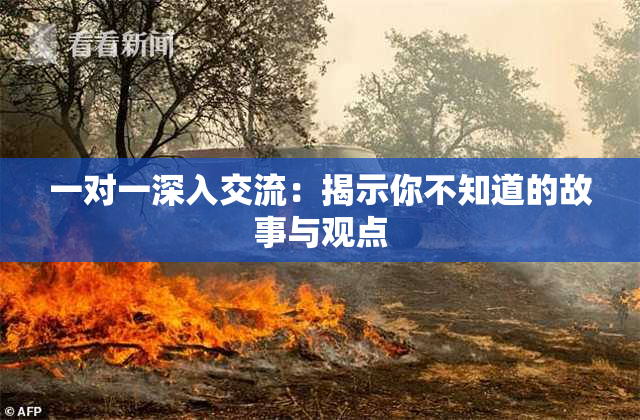一对一深入交流：揭示你不知道的故事与观点