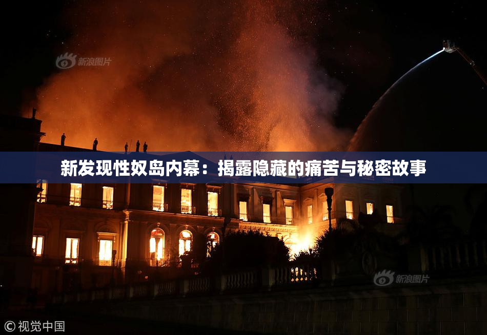新发现性奴岛内幕：揭露隐藏的痛苦与秘密故事