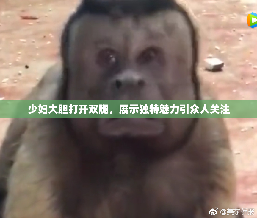 少妇大胆打开双腿，展示独特魅力引众人关注