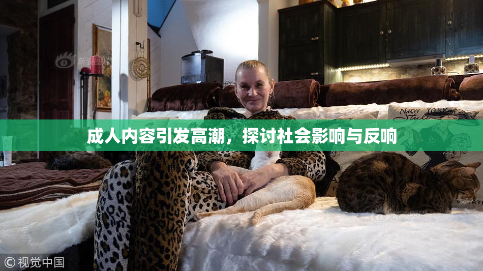 成人内容引发高潮，探讨社会影响与反响