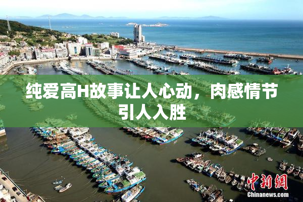 纯爱高H故事让人心动，肉感情节引人入胜