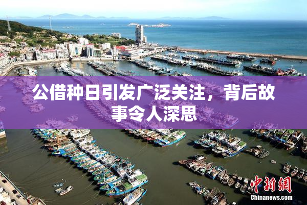 公借种日引发广泛关注，背后故事令人深思