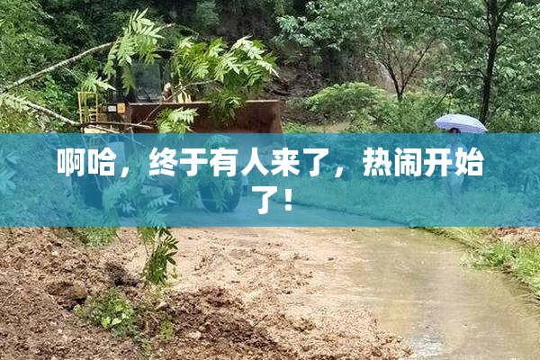 啊哈，终于有人来了，热闹开始了！