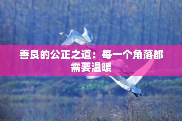 善良的公正之道：每一个角落都需要温暖