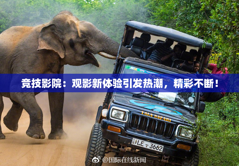 竞技影院：观影新体验引发热潮，精彩不断！