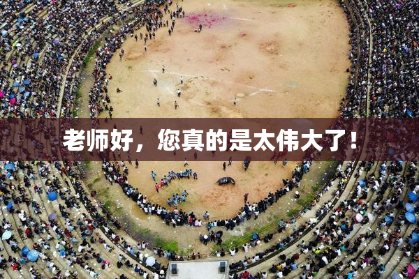 老师好，您真的是太伟大了！