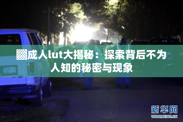 ▓成人lut大揭秘：探索背后不为人知的秘密与现象