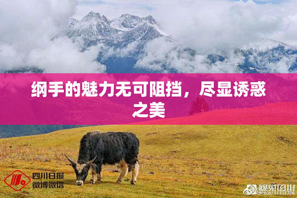 纲手的魅力无可阻挡，尽显诱惑之美
