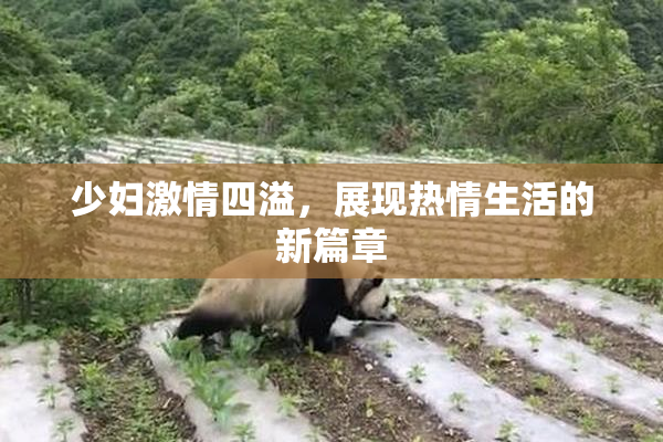 少妇激情四溢，展现热情生活的新篇章