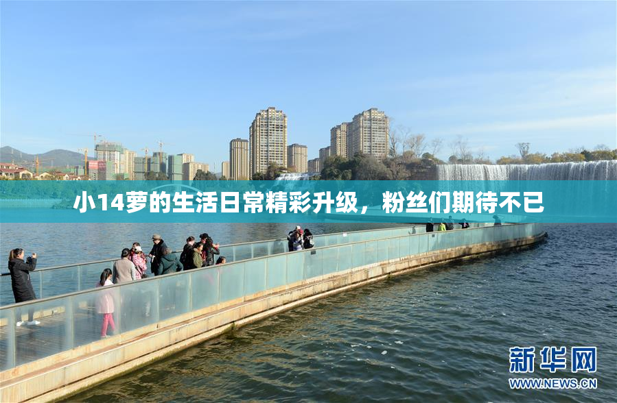 小14萝的生活日常精彩升级，粉丝们期待不已