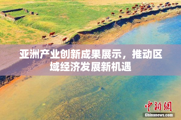 亚洲产业创新成果展示，推动区域经济发展新机遇