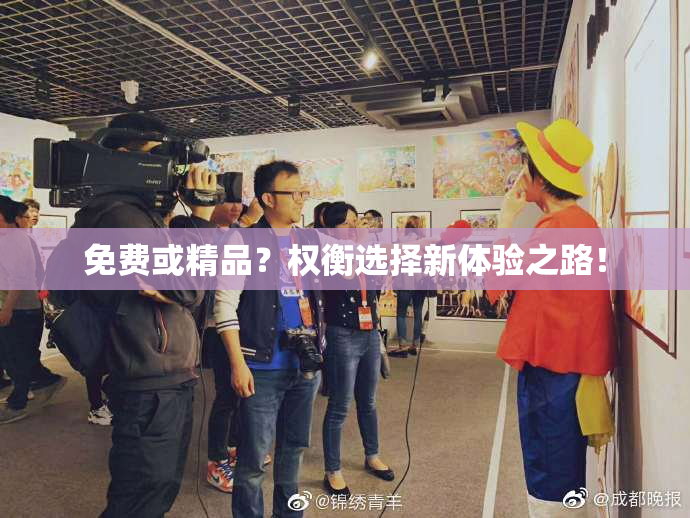 免费或精品？权衡选择新体验之路！