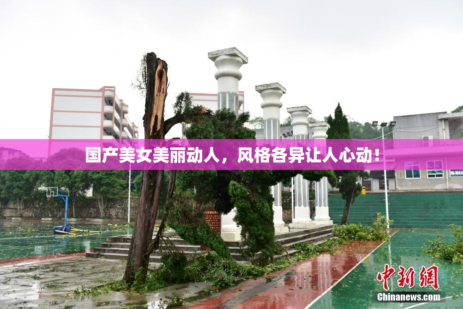 国产美女美丽动人，风格各异让人心动！