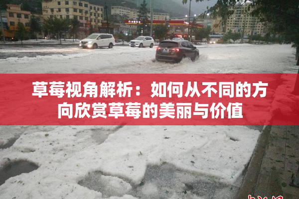 草莓视角解析：如何从不同的方向欣赏草莓的美丽与价值