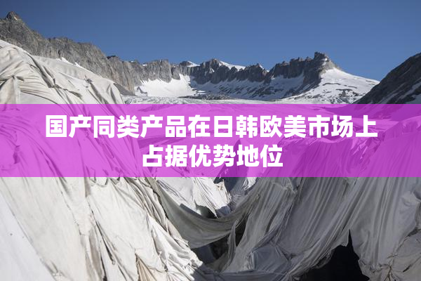 国产同类产品在日韩欧美市场上占据优势地位