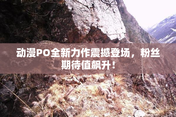动漫PO全新力作震撼登场，粉丝期待值飙升！