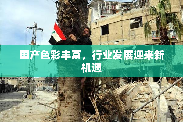 国产色彩丰富，行业发展迎来新机遇