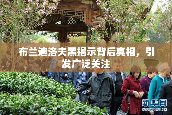布兰迪洛夫黑揭示背后真相，引发广泛关注