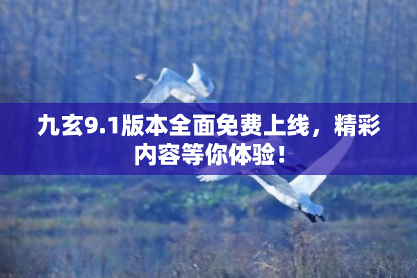 九玄9.1版本全面免费上线，精彩内容等你体验！
