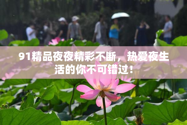 91精品夜夜精彩不断，热爱夜生活的你不可错过！