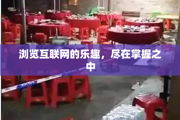 浏览互联网的乐趣，尽在掌握之中