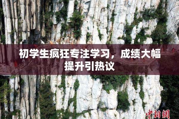 初学生疯狂专注学习，成绩大幅提升引热议