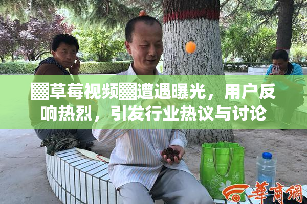 ▓草莓视频▓遭遇曝光，用户反响热烈，引发行业热议与讨论