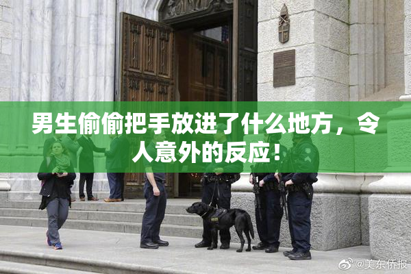 男生偷偷把手放进了什么地方，令人意外的反应！