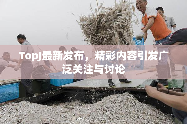 TopJ最新发布，精彩内容引发广泛关注与讨论