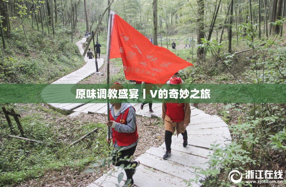原味调教盛宴丨V的奇妙之旅