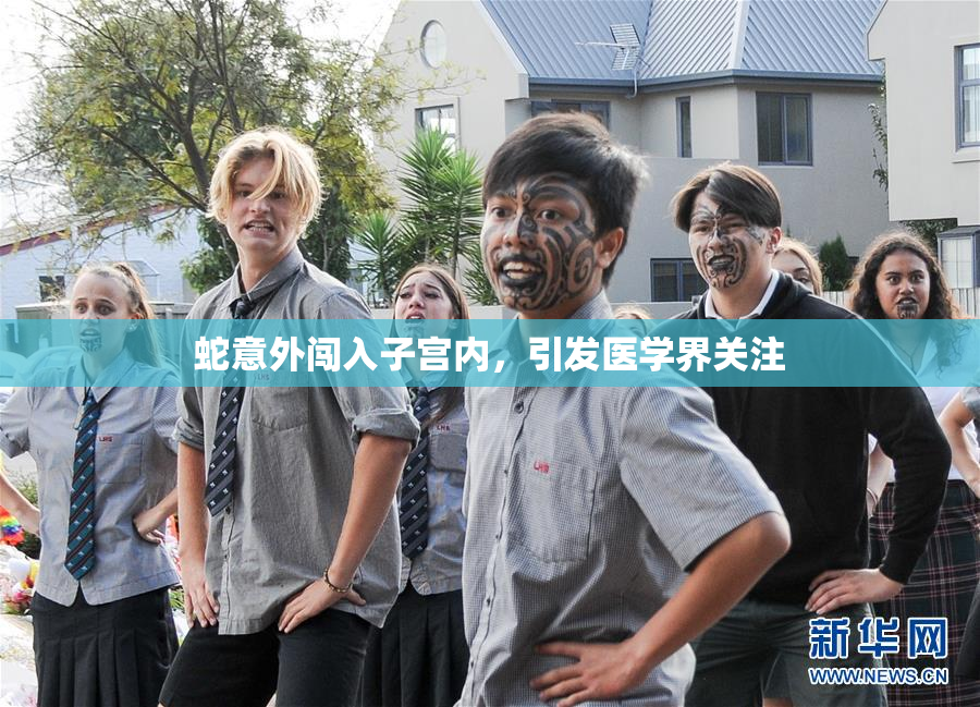 蛇意外闯入子宫内，引发医学界关注