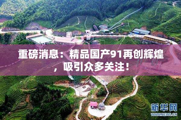 重磅消息：精品国产91再创辉煌，吸引众多关注！
