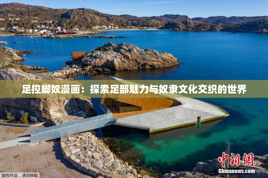 足控脚奴漫画：探索足部魅力与奴隶文化交织的世界