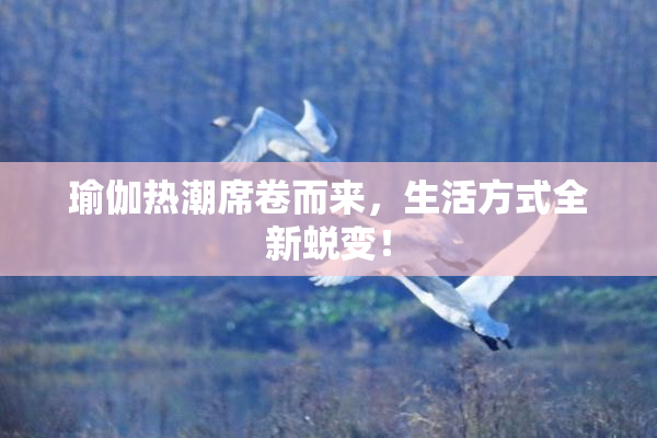 瑜伽热潮席卷而来，生活方式全新蜕变！