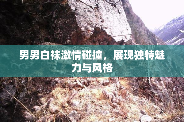 男男白袜激情碰撞，展现独特魅力与风格