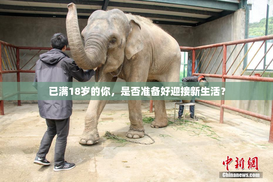 已满18岁的你，是否准备好迎接新生活？
