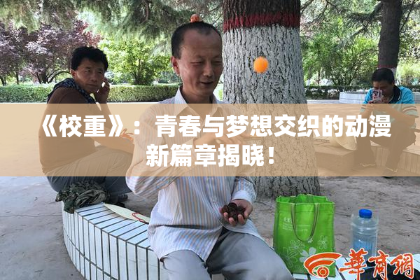 《校重》：青春与梦想交织的动漫新篇章揭晓！
