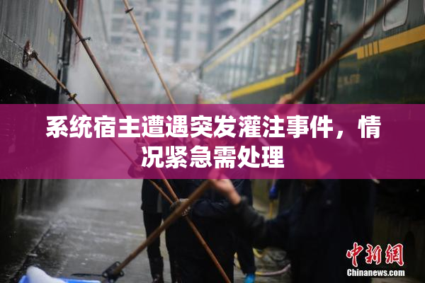 系统宿主遭遇突发灌注事件，情况紧急需处理